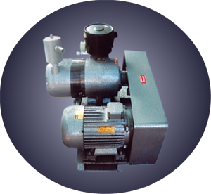 ROTARY VANE VACUUM PUMPS